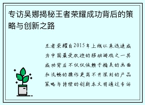 专访吴娜揭秘王者荣耀成功背后的策略与创新之路
